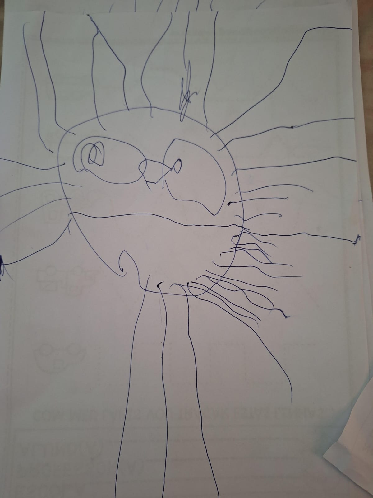 Arte Liz Maria 9